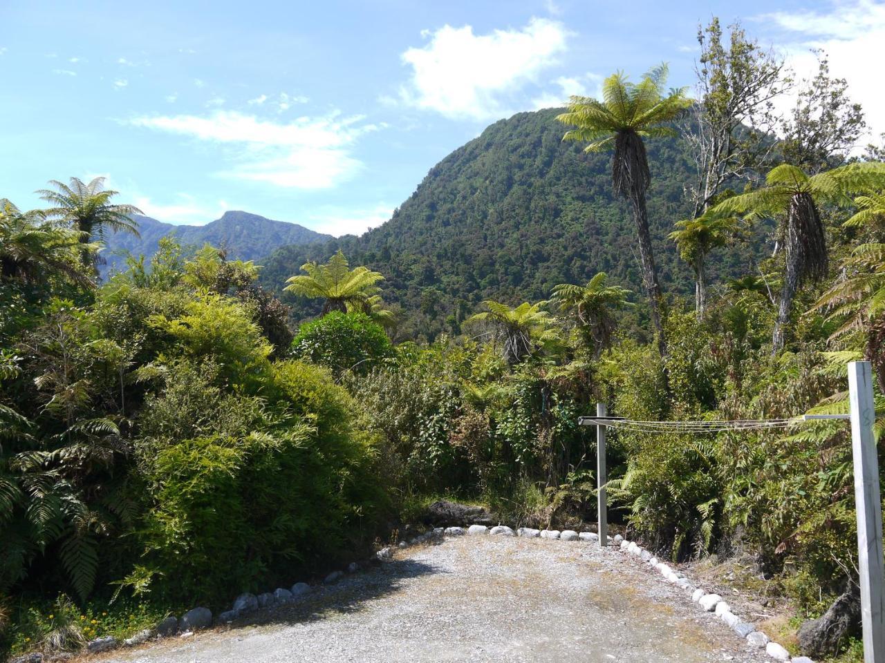 Franz Josef Treetops Esterno foto